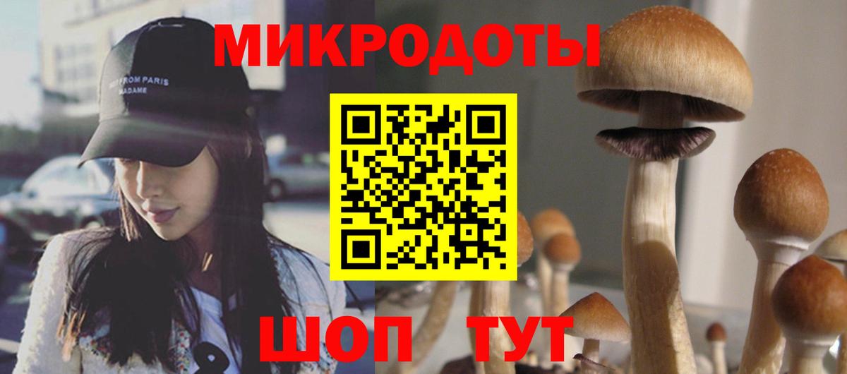 Галлюциногенные грибы Psilocybe  Галлюциногенные грибы мухоморы  где продают наркотики  Калининград  Вход с VPN 